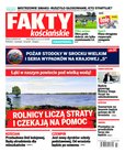 e-prasa: Fakty Kościańskie – 33/2017