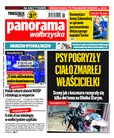 e-prasa: Panorama Wałbrzyska  – 6/2022