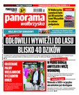 e-prasa: Panorama Wałbrzyska  – 13/2022
